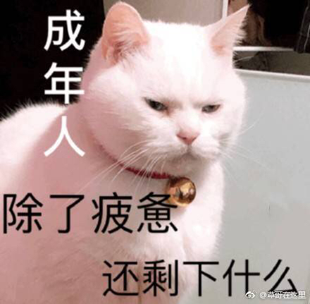 太好了以为丢了其实没丢