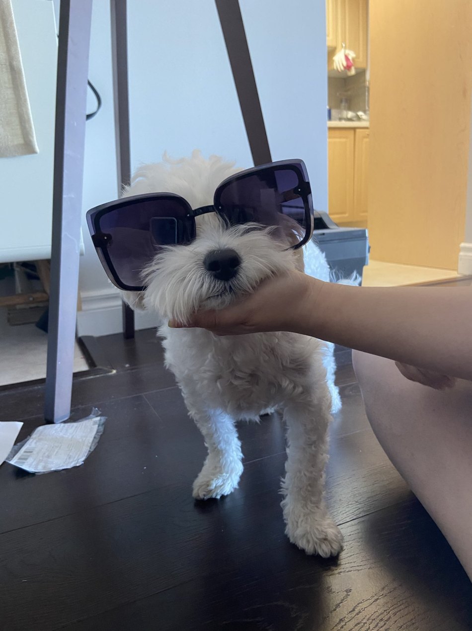 https://img1.superbuy.com/images/consult/2020/06/17/0f8abca5e859cd11b608ef36ad00484b.jpg?x-oss-process=image/resize,w_950