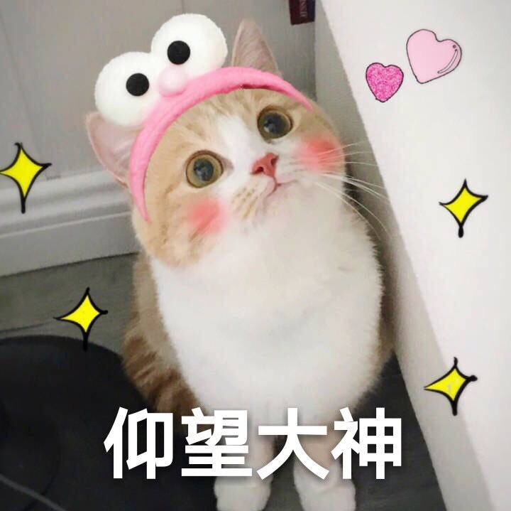 ⑸酁(鈳(鈳88肉z连#歨#iベ	⿴:c俬&