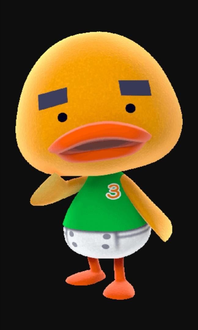 速度还行价格也还行