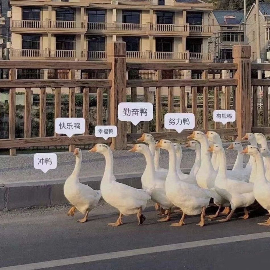 mmmmmm转运攻略mmmmmmmmmmmmmmmmmmmmmmmmmmmm - superbuy bbs