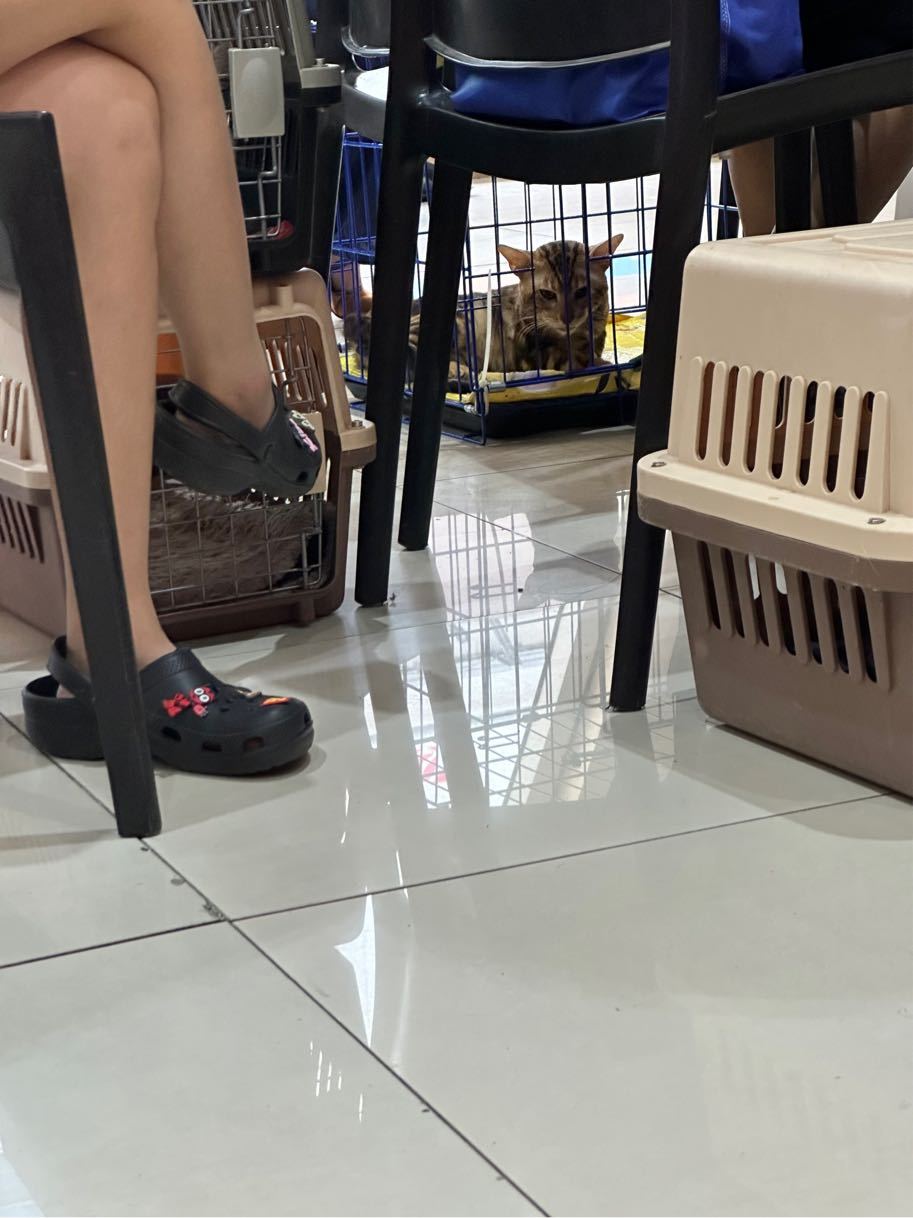 https://img1.superbuy.com/images/consult/2025/08/13/deb18356c4ad2b0e6765b6596f61bd86.jpg?x-oss-process=image/resize,w_950