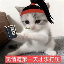 https://img1.superbuy.com/images/consult/2026/03/04/89614824f628e5a218f2715ce5cdfa65.jpg?x-oss-process=image/resize,w_950