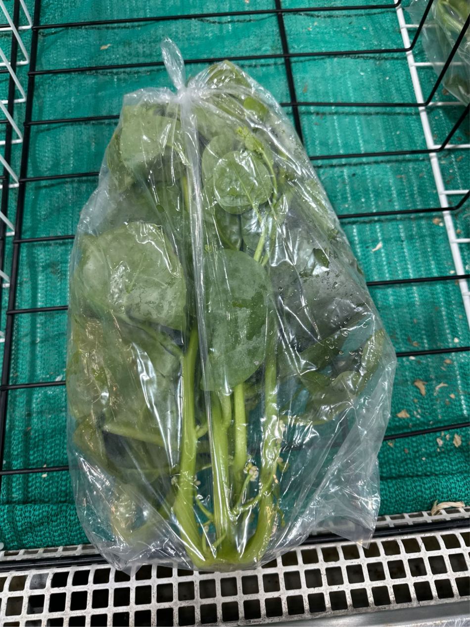 https://img1.superbuy.com/images/consult/2026/03/16/3bd47f522e8a8a90d9ae51771e65b8ac.jpg?x-oss-process=image/resize,w_950