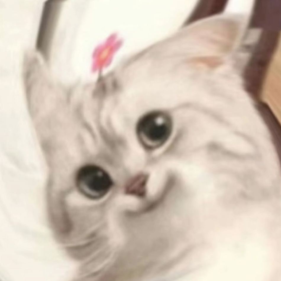 https://img1.superbuy.com/images/consult/2026/05/18/4b6e69eee623ef6d0baddf1aff632536.jpg?x-oss-process=image/resize,w_950