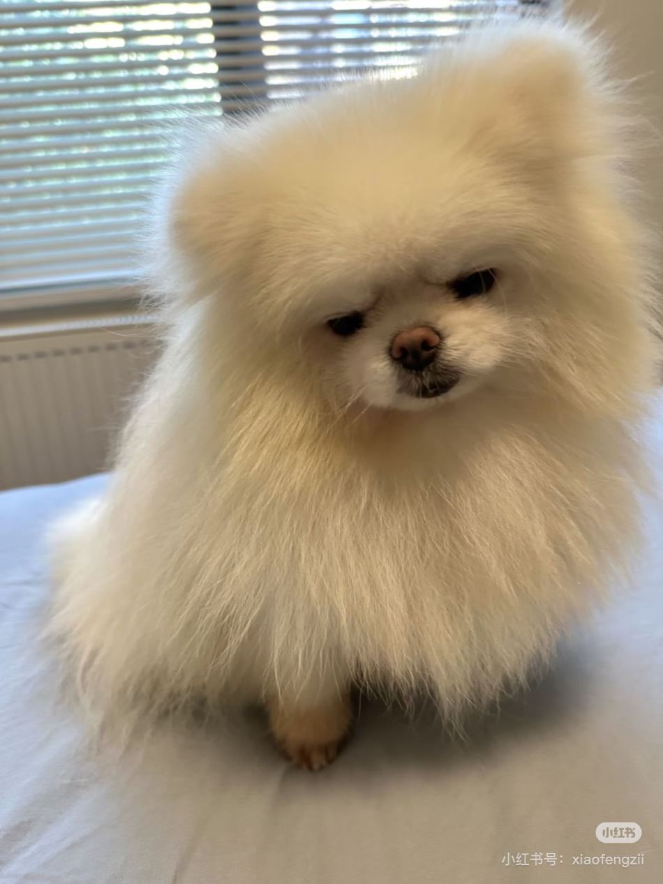 https://img1.superbuy.com/images/consult/2026/05/29/c2abc04a798ba04751b974605e2a3b62.jpg?x-oss-process=image/resize,w_950