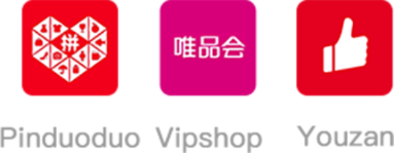 Other E-commerce platform in China
