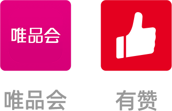 其他中国电商平台