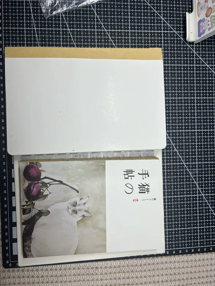 https://img1.superbuy.com/images/package/2025/09/02/22709494bfb0522017aee71c4de9e9f530700.jpg?x-oss-process=image/resize,w_950
